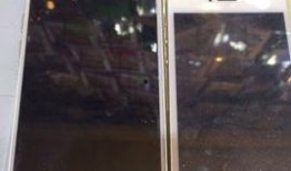 苹果爆料真的吗视频,真的吗？视频深度解析